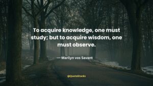 Wisdom quote about knowledge and observation